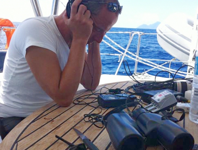 Suivi des mammifères marins : les observations sont visuelles... et acoustiques