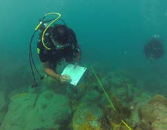 Collecte de données sous-marines | Collection of underwater data