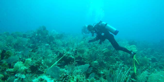 Suivi scientifique du récif corallien - Scientific study of the coral reef © Julien Chalifour