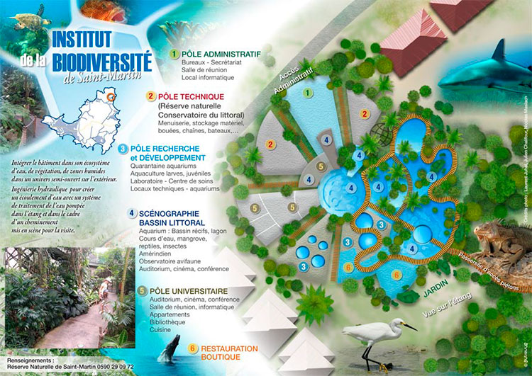 Schéma d’intention de l’Institut caribéen de la biodiversité insulaire