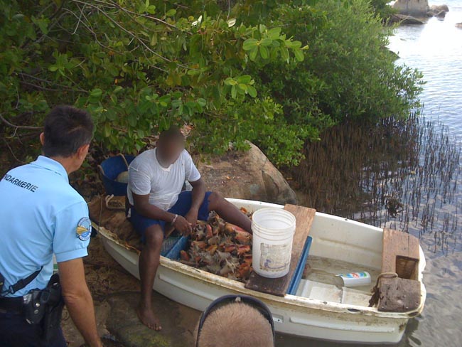 Ce pêcheur a été jugé par le tribunal correctionnel | This fisherman was tried by the criminal court