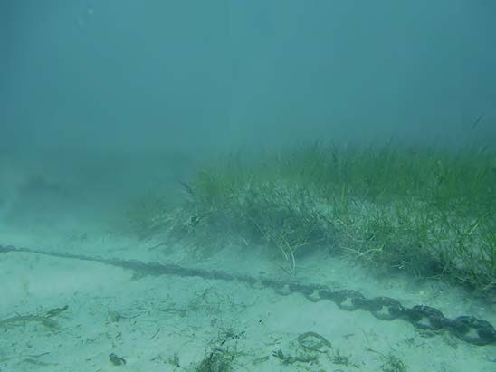 Chains from an anchor destroy the plant beds