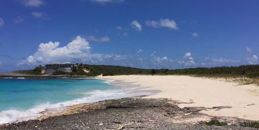 Une plage restée naturelle, idéale pour la ponte des tortues marines - An undeveloped beach, an ideal place for sea turtles to lay their eggs