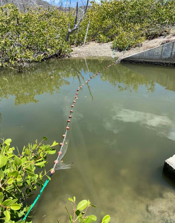 Un filet saisi par la réserve - Fish net seized by the reserve