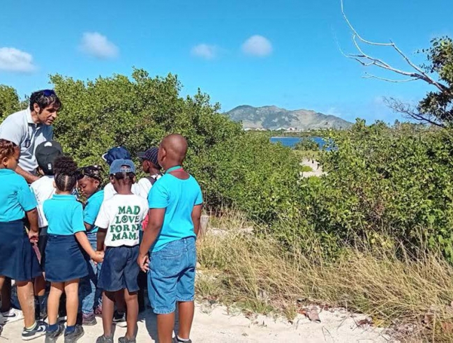 Classe de CP de l’école Omer Arrondell sur le site de la baie de l’embouchure pour l’observation des crabes dans la mangrove