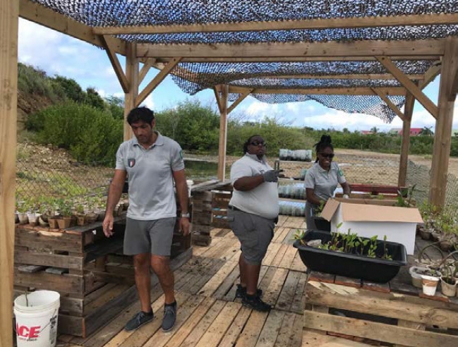 Reserve Nationale Naturelle De Saint Martin St Martin Marine Park