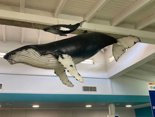 Sculpture d’une baleine à bosse Sculpture of a humpback whale