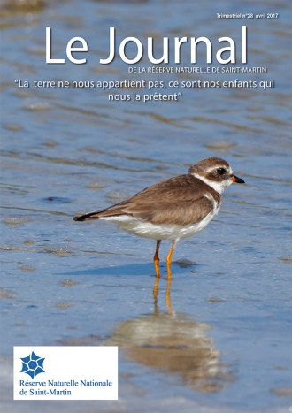 Journal de la Réserve Naturelle de St.Martin #28