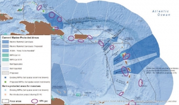 Les zones à risque pour les mammifères marins dans la Caraïbe