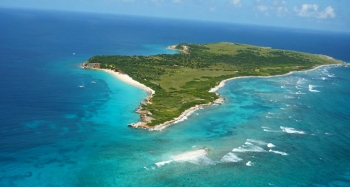 Tintamarre, potentiel futur sanctuaire de l’iguane des Petites Antilles à Saint-Martin | Tintamarre, potential future sanctuary for the Lesser Antillean iguana in Saint Martin
