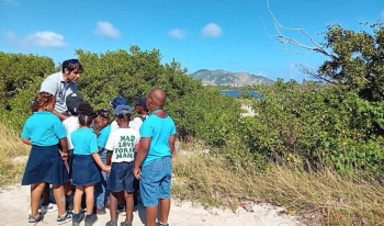 Classe de CP de l’école Omer Arrondell sur le site de la baie de l’embouchure pour l’observation des crabes dans la mangrove