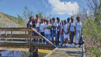 Des collégiens de Marigot dans la mangrove | Middle school students from Marigot in the mangrove