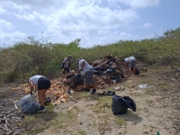 Gestion déchets