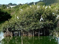 Etang cimetière