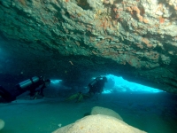 Dive near Tintamarre ilet