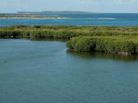 Etang aux Poissons